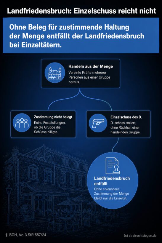 Infografik (Entscheidungsbaum): Landfriedensbruch nur bei Gruppenhandeln – Einzelschuss ohne Zustimmung der Menge reicht nicht